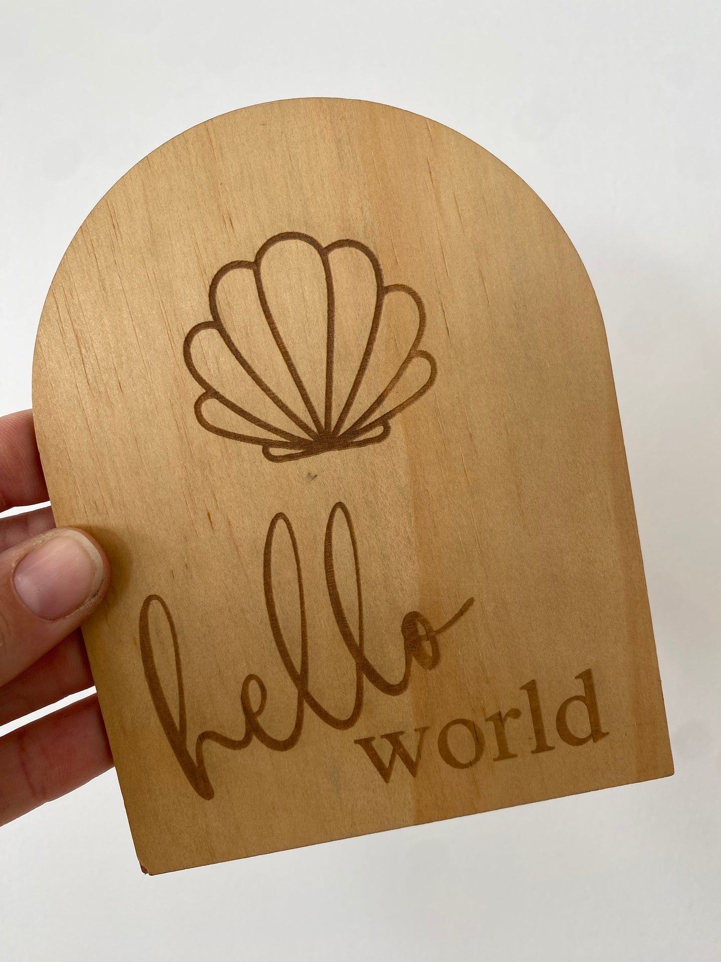Hello World Shell