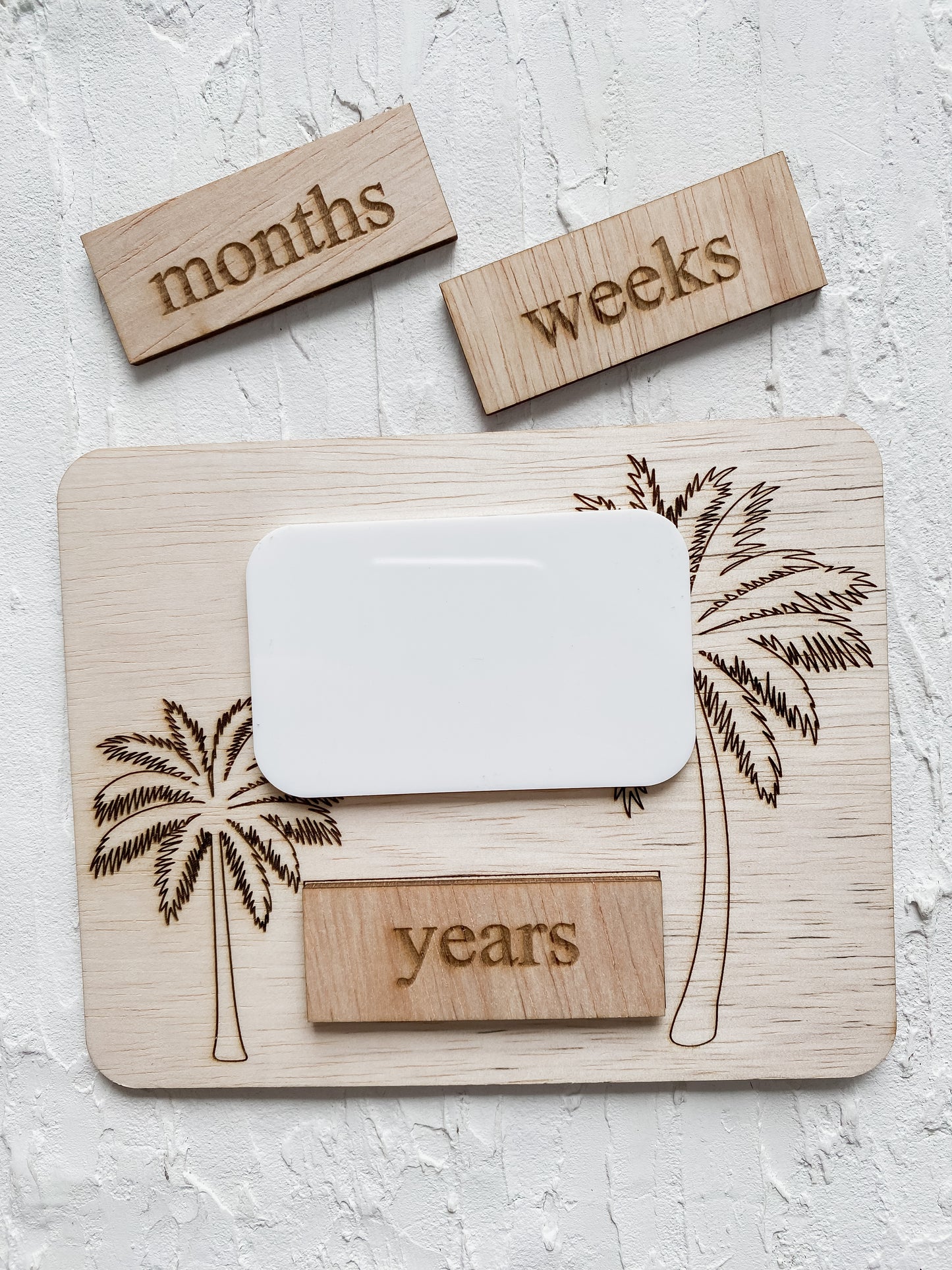 Baby Milestone Sign