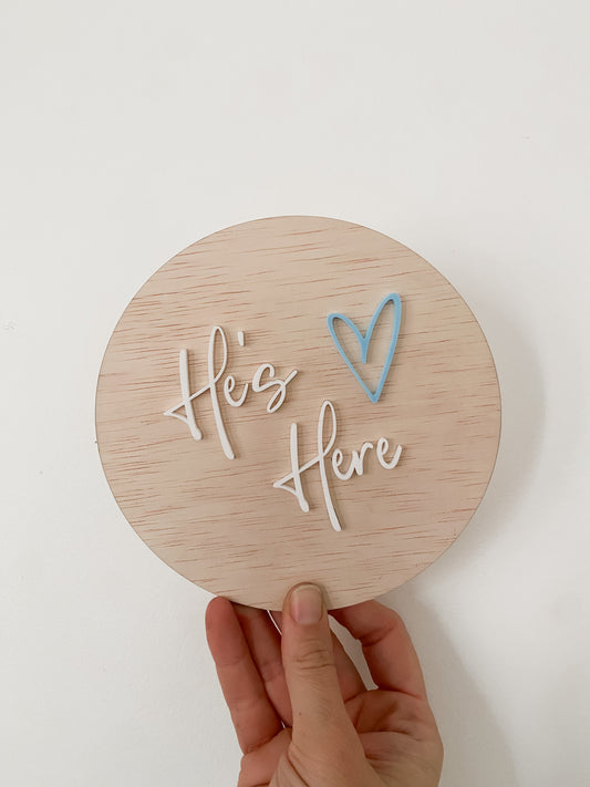 Baby Gender Announcement Sign
